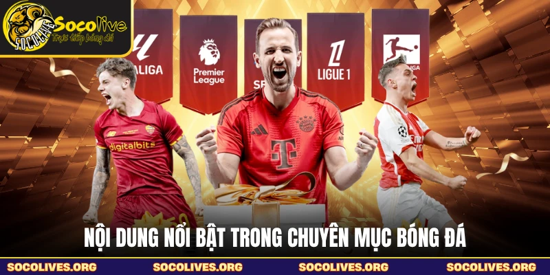 Nội dung nổi bật trong chuyên mục bóng đá