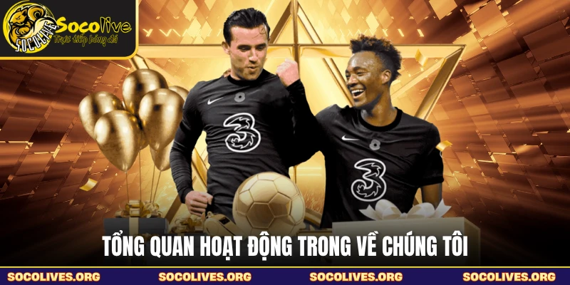Tổng quan hoạt động trong về chúng tôi