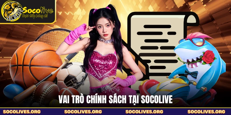 Vai trò chính sách tại SOCOLIVE